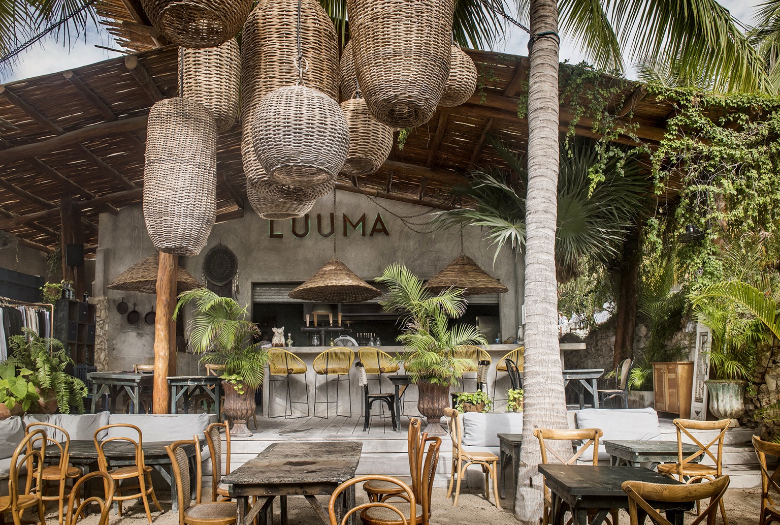 Luuma restaurant, dinner category photograph